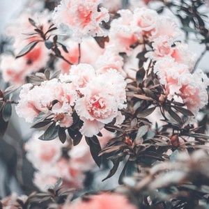 Meet your Posher, Maritza